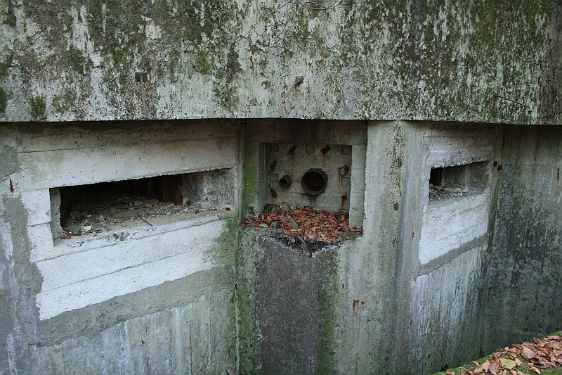 Rostoczek 11.2008 288